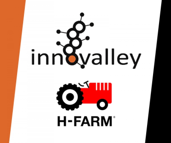 Digital Transformation Manager Program - H-Farm 4 Innovalley