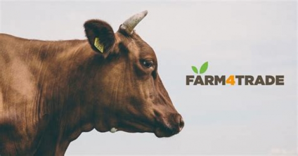Farm4Trade - Un business case illustre per l&#039;innovazione sociale e tecnologica.